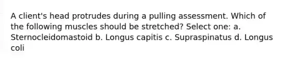 A client's head protrudes during a pulling assessment. Which of the following muscles should be stretched? Select one: a. Sternocleidomastoid b. Longus capitis c. Supraspinatus d. Longus coli