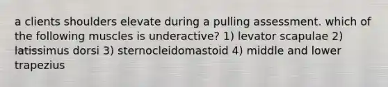 a clients shoulders elevate during a pulling assessment. which of the following muscles is underactive? 1) levator scapulae 2) latissimus dorsi 3) sternocleidomastoid 4) middle and lower trapezius