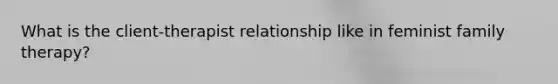 What is the client-therapist relationship like in feminist family therapy?