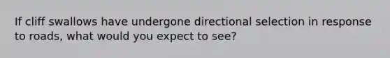 If cliff swallows have undergone directional selection in response to roads, what would you expect to see?