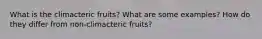 What is the climacteric fruits? What are some examples? How do they differ from non-climacteric fruits?