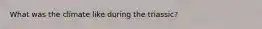 What was the climate like during the triassic?