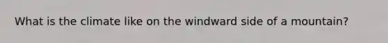 What is the climate like on the windward side of a mountain?