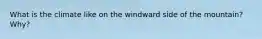 What is the climate like on the windward side of the mountain? Why?