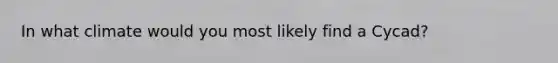 In what climate would you most likely find a Cycad?