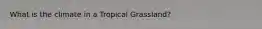 What is the climate in a Tropical Grassland?