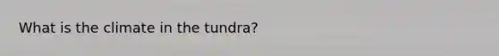 What is the climate in the tundra?