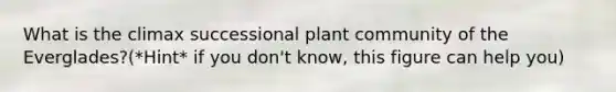 What is the climax successional plant community of the Everglades?(*Hint* if you don't know, this figure can help you)