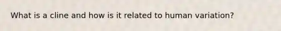 What is a cline and how is it related to human variation?