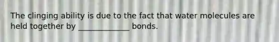 The clinging ability is due to the fact that water molecules are held together by _____________ bonds.