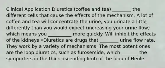 Clinical Application Diuretics (coffee and tea) ________ the different cells that cause the effects of the mechanism. A lot of coffee and tea will concentrate the urine, you urinate a little differently than you would expect (increasing your urine flow) which means you __________ more quickly. Will inhibit the effects of the kidneys •Diuretics are drugs that ________ urine flow rate. They work by a variety of mechanisms. The most potent ones are the loop diuretics, such as furosemide, which _______ the symporters in the thick ascending limb of the loop of Henle.