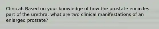 Clinical: Based on your knowledge of how the prostate encircles part of the urethra, what are two clinical manifestations of an enlarged prostate?