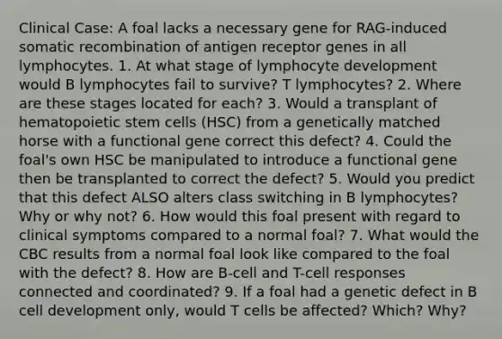 Clinical Case: A foal lacks a necessary gene for RAG-induced somatic recombination of antigen receptor genes in all lymphocytes. 1. At what stage of lymphocyte development would B lymphocytes fail to survive? T lymphocytes? 2. Where are these stages located for each? 3. Would a transplant of hematopoietic stem cells (HSC) from a genetically matched horse with a functional gene correct this defect? 4. Could the foal's own HSC be manipulated to introduce a functional gene then be transplanted to correct the defect? 5. Would you predict that this defect ALSO alters class switching in B lymphocytes? Why or why not? 6. How would this foal present with regard to clinical symptoms compared to a normal foal? 7. What would the CBC results from a normal foal look like compared to the foal with the defect? 8. How are B-cell and T-cell responses connected and coordinated? 9. If a foal had a genetic defect in B cell development only, would T cells be affected? Which? Why?