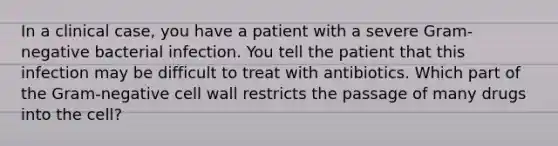 In a clinical case, you have a patient with a severe Gram-negative bacterial infection. You tell the patient that this infection may be difficult to treat with antibiotics. Which part of the Gram-negative cell wall restricts the passage of many drugs into the cell?