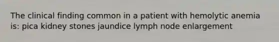 The clinical finding common in a patient with hemolytic anemia is: pica kidney stones jaundice lymph node enlargement