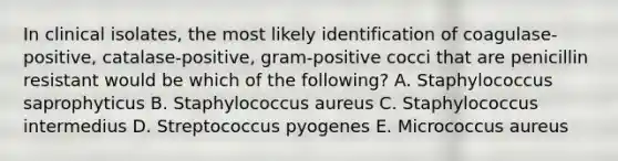 In clinical isolates, the most likely identification of coagulase-positive, catalase-positive, gram-positive cocci that are penicillin resistant would be which of the following? A. Staphylococcus saprophyticus B. Staphylococcus aureus C. Staphylococcus intermedius D. Streptococcus pyogenes E. Micrococcus aureus