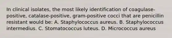 In clinical isolates, the most likely identification of coagulase-positive, catalase-positive, gram-positive cocci that are penicillin resistant would be: A. Staphylococcus aureus. B. Staphylococcus intermedius. C. Stomatococcus luteus. D. Micrococcus aureus