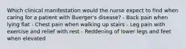 Which clinical manifestation would the nurse expect to find when caring for a patient with Buerger's disease? - Back pain when lying flat - Chest pain when walking up stairs - Leg pain with exercise and relief with rest - Reddening of lower legs and feet when elevated