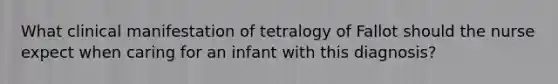 What clinical manifestation of tetralogy of Fallot should the nurse expect when caring for an infant with this diagnosis?