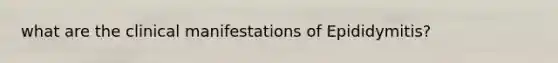 what are the clinical manifestations of Epididymitis?