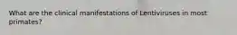 What are the clinical manifestations of Lentiviruses in most primates?