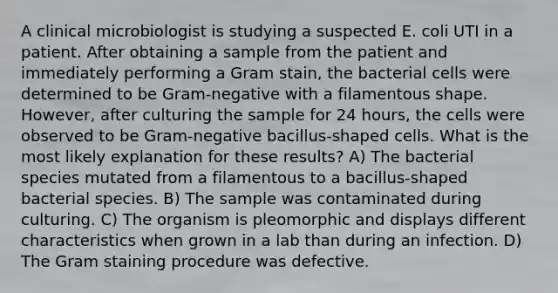 A clinical microbiologist is studying a suspected E. coli UTI in a patient. After obtaining a sample from the patient and immediately performing a Gram stain, the bacterial cells were determined to be Gram-negative with a filamentous shape. However, after culturing the sample for 24 hours, the cells were observed to be Gram-negative bacillus-shaped cells. What is the most likely explanation for these results? A) The bacterial species mutated from a filamentous to a bacillus-shaped bacterial species. B) The sample was contaminated during culturing. C) The organism is pleomorphic and displays different characteristics when grown in a lab than during an infection. D) The Gram staining procedure was defective.