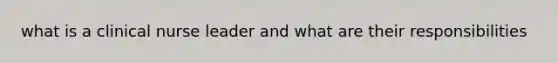 what is a clinical nurse leader and what are their responsibilities