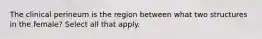 The clinical perineum is the region between what two structures in the female? Select all that apply.