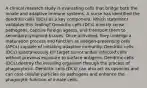 A clinical research study is evaluating cells that bridge both the innate and adaptive immune systems. A nurse has identified the dendritic cells (DCs) as a key component. Which statement validates this finding? Dendritic cells (DCs) directly sense pathogens, capture foreign agents, and transport them to secondary lymphoid tissues. Once activated, they undergo a maturation process and function as antigen-presenting cells (APCs) capable of initiating adaptive immunity. Dendritic cells (DCs) spontaneously kill target tumor and/or infected cells without previous exposure to surface antigens. Dendritic cells (DCs) destroy the invading organism through the process of phagocytosis. Dendritic cells (DCs) can also act as opsonins and can coat cellular particles on pathogens and enhance the phagocytic function of innate cells.