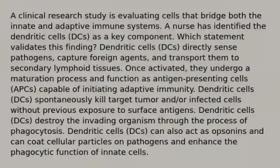 A clinical research study is evaluating cells that bridge both the innate and adaptive immune systems. A nurse has identified the dendritic cells (DCs) as a key component. Which statement validates this finding? Dendritic cells (DCs) directly sense pathogens, capture foreign agents, and transport them to secondary lymphoid tissues. Once activated, they undergo a maturation process and function as antigen-presenting cells (APCs) capable of initiating adaptive immunity. Dendritic cells (DCs) spontaneously kill target tumor and/or infected cells without previous exposure to surface antigens. Dendritic cells (DCs) destroy the invading organism through the process of phagocytosis. Dendritic cells (DCs) can also act as opsonins and can coat cellular particles on pathogens and enhance the phagocytic function of innate cells.