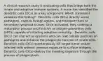 A clinical research study is evaluating cells that bridge both the innate and adaptive immune systems. A nurse has identified the dendritic cells (DCs) as a key component. Which statement validates this finding? · Dendritic cells (DCs) directly sense pathogens, capture foreign agents, and transport them to secondary lymphoid tissues. Once activated, they undergo a maturation process and function as antigen-presenting cells (APCs) capable of initiating adaptive immunity. · Dendritic cells (DCs) can also act as opsonins and can coat cellular particles on pathogens and enhance the phagocytic function of innate cells. · Dendritic cells (DCs) spontaneously kill target tumor and/or infected cells without previous exposure to surface antigens. · Dendritic cells (DCs) destroy the invading organism through the process of phagocytosis.