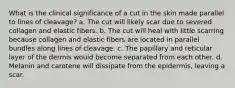 What is the clinical significance of a cut in the skin made parallel to lines of cleavage? a. The cut will likely scar due to severed collagen and elastic fibers. b. The cut will heal with little scarring because collagen and elastic fibers are located in parallel bundles along lines of cleavage. c. The papillary and reticular layer of the dermis would become separated from each other. d. Melanin and carotene will dissipate from the epidermis, leaving a scar.