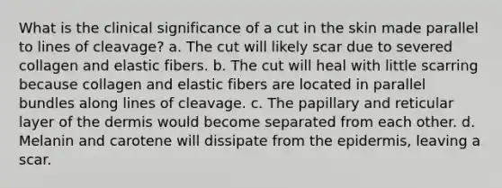 What is the clinical significance of a cut in the skin made parallel to lines of cleavage? a. The cut will likely scar due to severed collagen and elastic fibers. b. The cut will heal with little scarring because collagen and elastic fibers are located in parallel bundles along lines of cleavage. c. The papillary and reticular layer of the dermis would become separated from each other. d. Melanin and carotene will dissipate from the epidermis, leaving a scar.