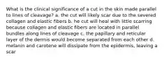 What is the clinical significance of a cut in the skin made parallel to lines of cleavage? a. the cut will likely scar due to the severed collagen and elastic fibers b. he cut will heal with little scarring because collagen and elastic fibers are located in parallel bundles along lines of cleavage c. the papillary and reticular layer of the dermis would become separated from each other d. melanin and carotene will dissipate from the epidermis, leaving a scar