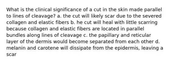 What is the clinical significance of a cut in the skin made parallel to lines of cleavage? a. the cut will likely scar due to the severed collagen and elastic fibers b. he cut will heal with little scarring because collagen and elastic fibers are located in parallel bundles along lines of cleavage c. the papillary and reticular layer of the dermis would become separated from each other d. melanin and carotene will dissipate from the epidermis, leaving a scar