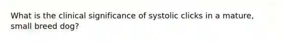 What is the clinical significance of systolic clicks in a mature, small breed dog?