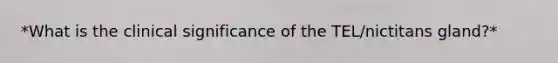 *What is the clinical significance of the TEL/nictitans gland?*