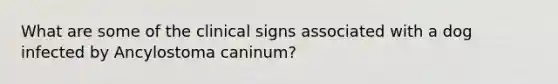 What are some of the clinical signs associated with a dog infected by Ancylostoma caninum?