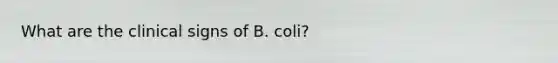 What are the clinical signs of B. coli?