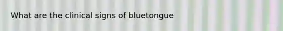 What are the clinical signs of bluetongue