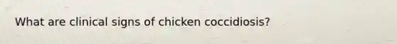 What are clinical signs of chicken coccidiosis?