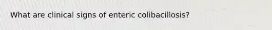 What are clinical signs of enteric colibacillosis?