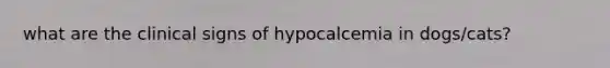 what are the clinical signs of hypocalcemia in dogs/cats?