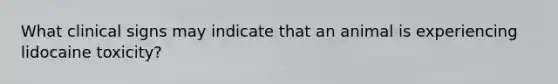 What clinical signs may indicate that an animal is experiencing lidocaine toxicity?