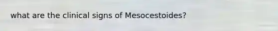 what are the clinical signs of Mesocestoides?