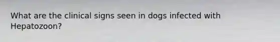 What are the clinical signs seen in dogs infected with Hepatozoon?
