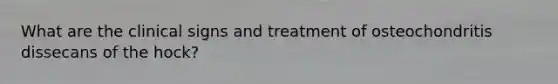 What are the clinical signs and treatment of osteochondritis dissecans of the hock?