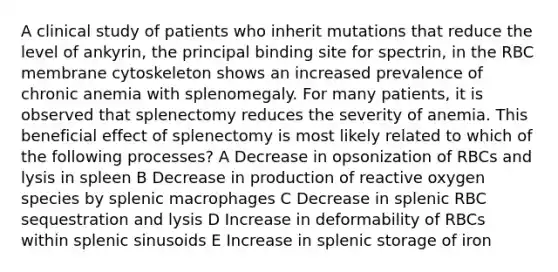 A clinical study of patients who inherit mutations that reduce the level of ankyrin, the principal binding site for spectrin, in the RBC membrane cytoskeleton shows an increased prevalence of chronic anemia with splenomegaly. For many patients, it is observed that splenectomy reduces the severity of anemia. This beneficial effect of splenectomy is most likely related to which of the following processes? A Decrease in opsonization of RBCs and lysis in spleen B Decrease in production of reactive oxygen species by splenic macrophages C Decrease in splenic RBC sequestration and lysis D Increase in deformability of RBCs within splenic sinusoids E Increase in splenic storage of iron