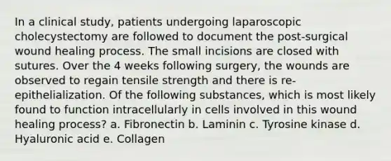 In a clinical study, patients undergoing laparoscopic cholecystectomy are followed to document the post-surgical wound healing process. The small incisions are closed with sutures. Over the 4 weeks following surgery, the wounds are observed to regain tensile strength and there is re-epithelialization. Of the following substances, which is most likely found to function intracellularly in cells involved in this wound healing process? a. Fibronectin b. Laminin c. Tyrosine kinase d. Hyaluronic acid e. Collagen