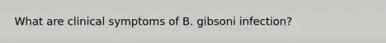 What are clinical symptoms of B. gibsoni infection?